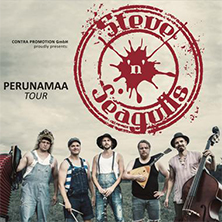 Steve'n'Seagulls + support WROCŁAW - Bilety