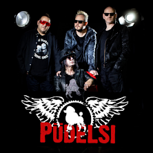 Pudelsi