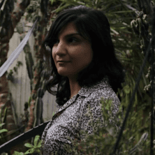 Sarah Davachi 