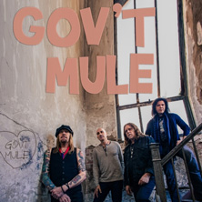 Gov't Mule