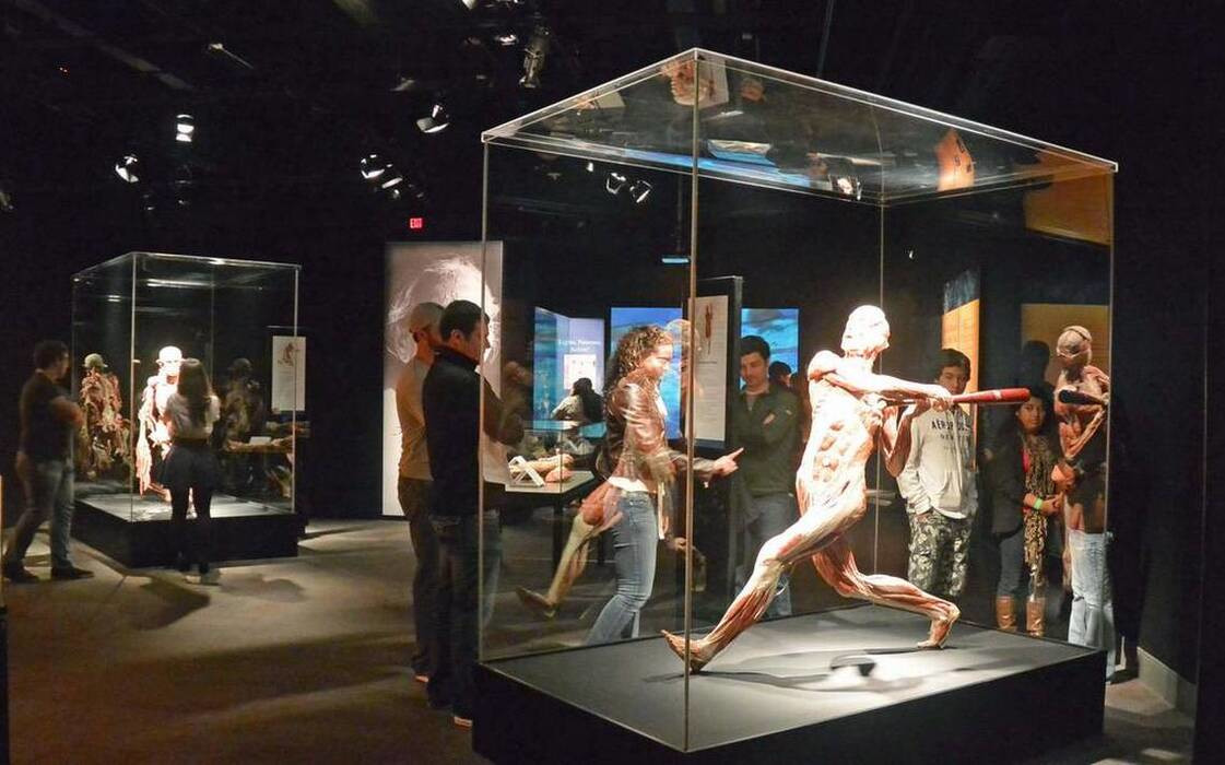 Body Worlds