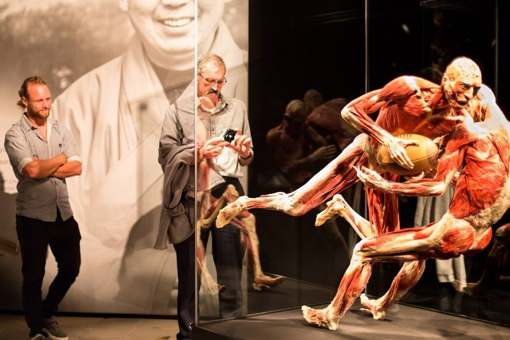 Body Worlds