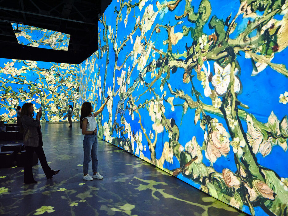 VAN GOGH Multi-Sensory Exhibition