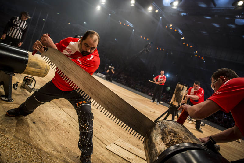 STIHL Timbersports
