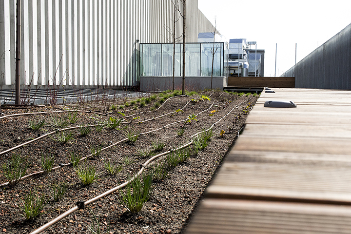 Centrum Spotkania Kultur Lublin