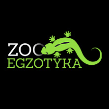 ZooEgzotyka