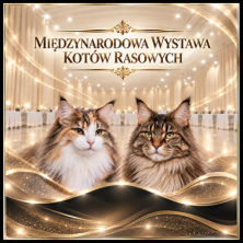 Międzynarodowa Wystawa Kotów Rasowych