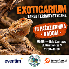 Exoticarium Radom+ Wystawa pająk&oacute;w - wejście od 13:00