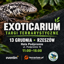 Exoticarium Rzesz&oacute;w+ Wystawa pająk&oacute;w- wejście od 11:00