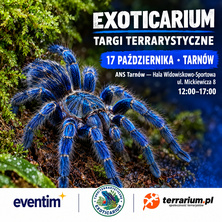 Exoticarium Tarn&oacute;w+ Wystawa pająk&oacute;w - wejście od 12:00