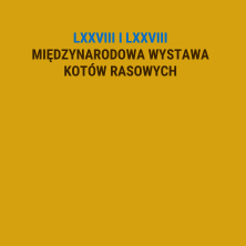 Międzynarodowa Wystawa Kotów Rasowych