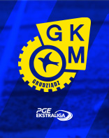 BAYERSYSTEM GKM Grudziądz