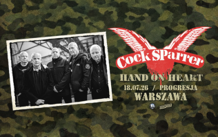 COCK SPARRER