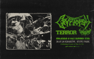 Cryptopsy + Vulvodynia