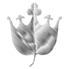 Łazienki Kr&oacute;lewskie